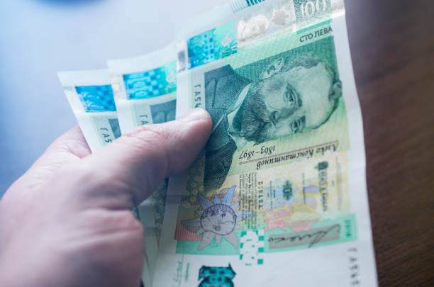 Dinero para ilustrar una guía sobre préstamos personales en Bulgaria